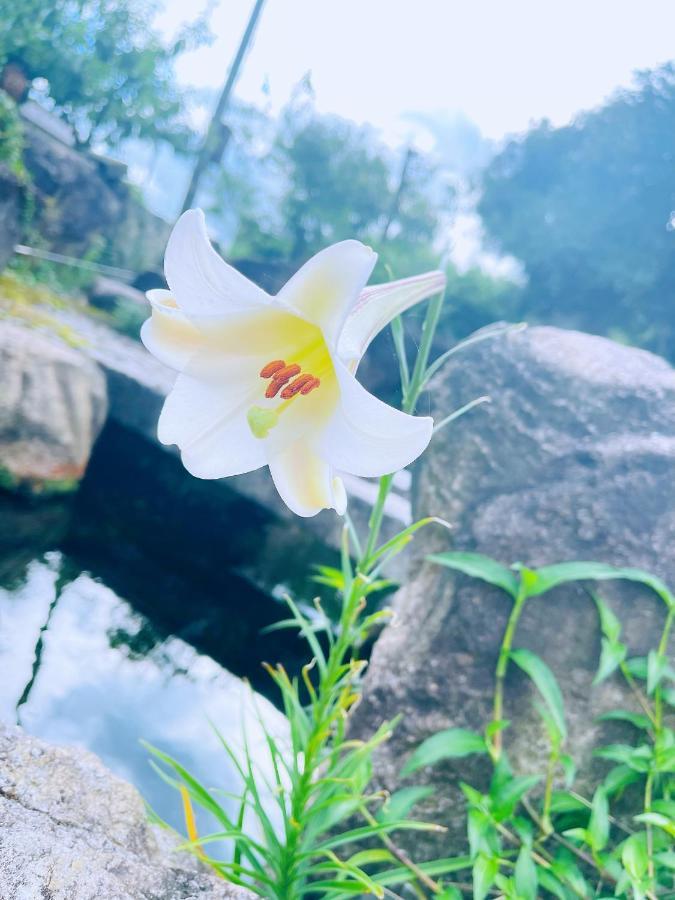 Takashima Shiga Biwa Lake Shanshui House מראה חיצוני תמונה